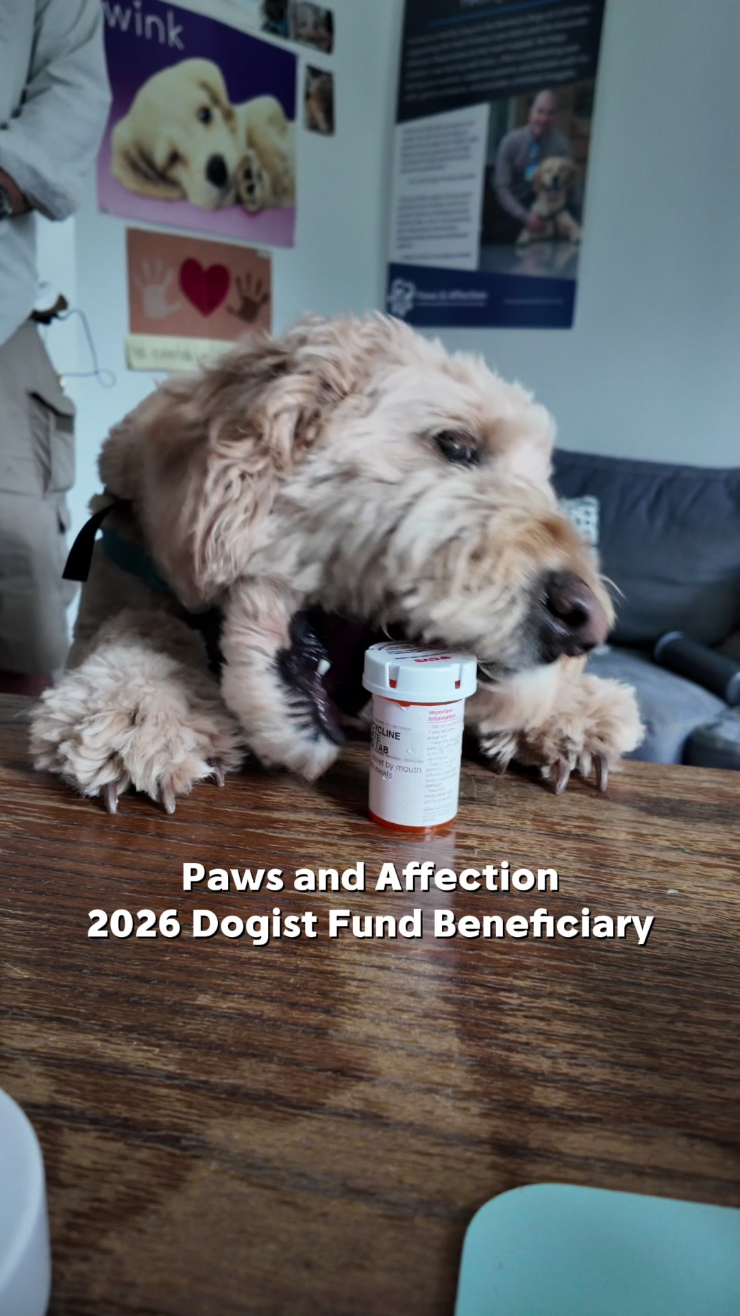 @The Dogist