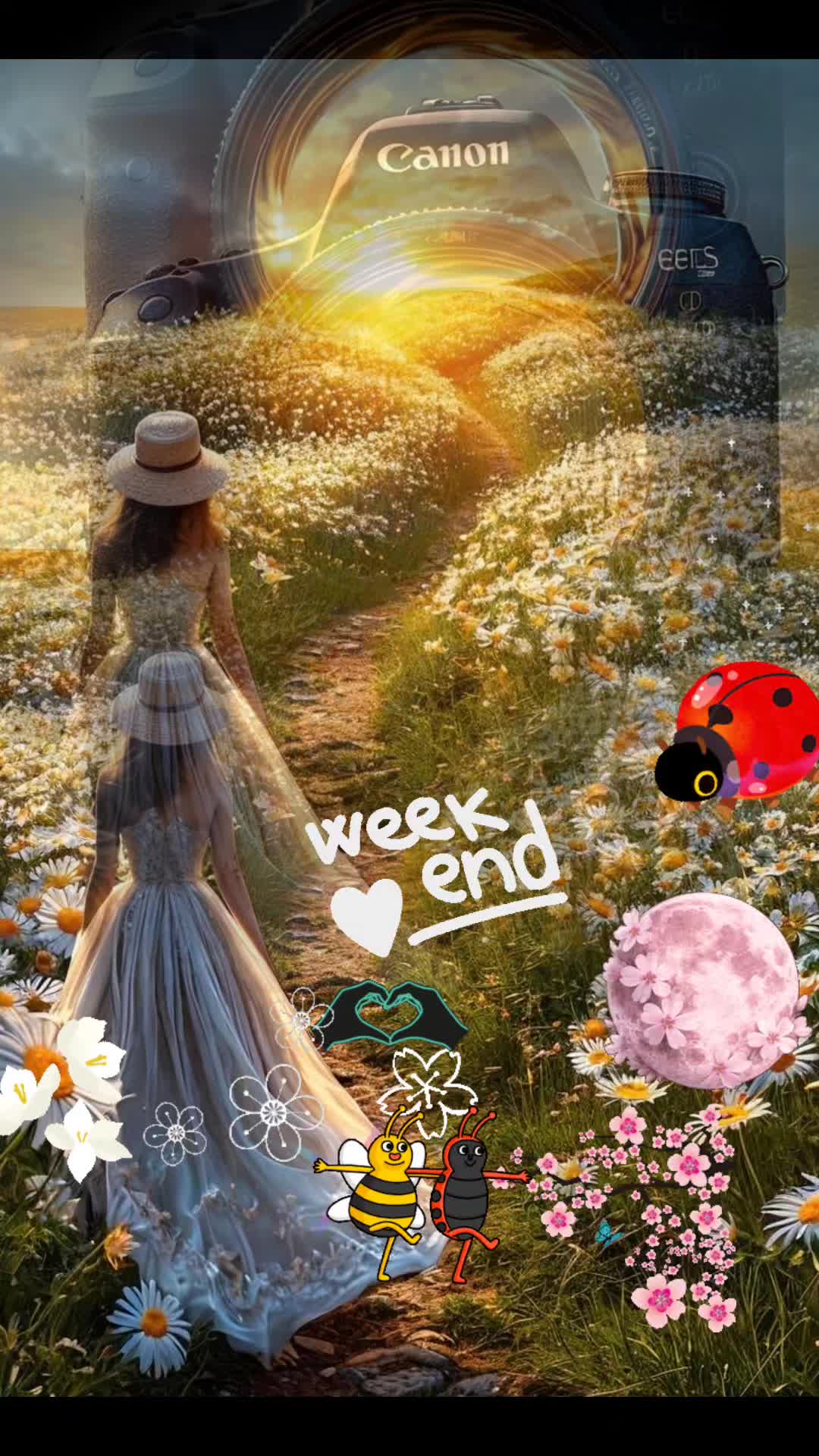 @Colori🎨di un anima🤍💙🪽🌸🌊