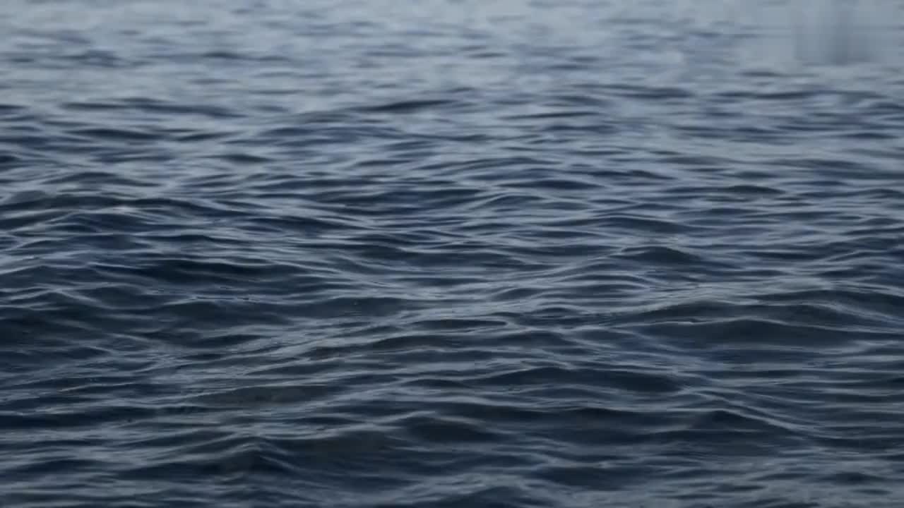 @Onyx_Jess
