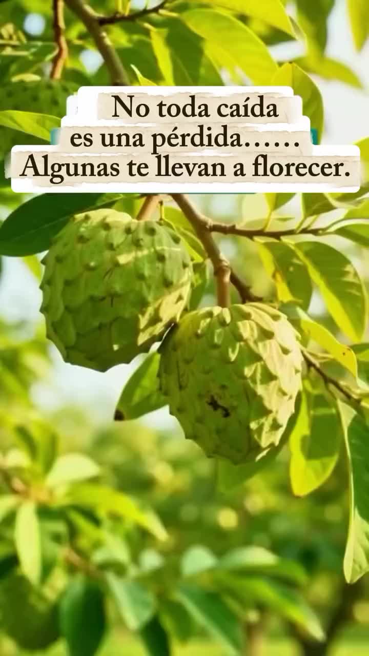 @CARMEN RIVERA