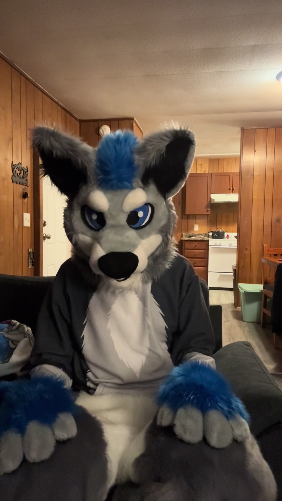@BlueSilver_Wolf