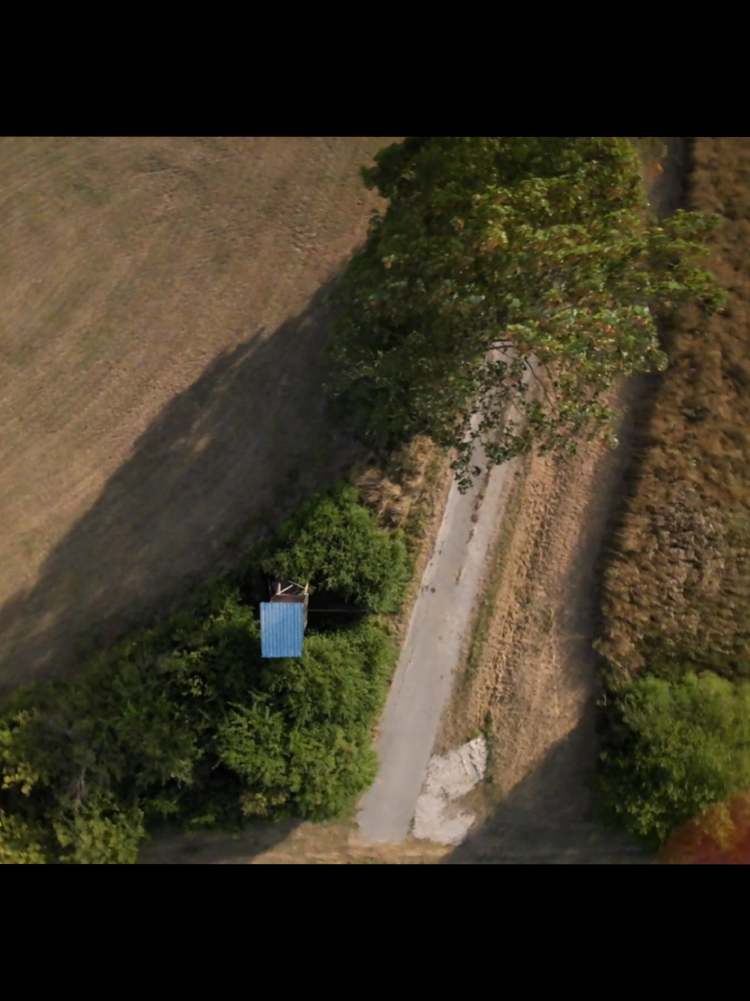 @franziskus.fpv