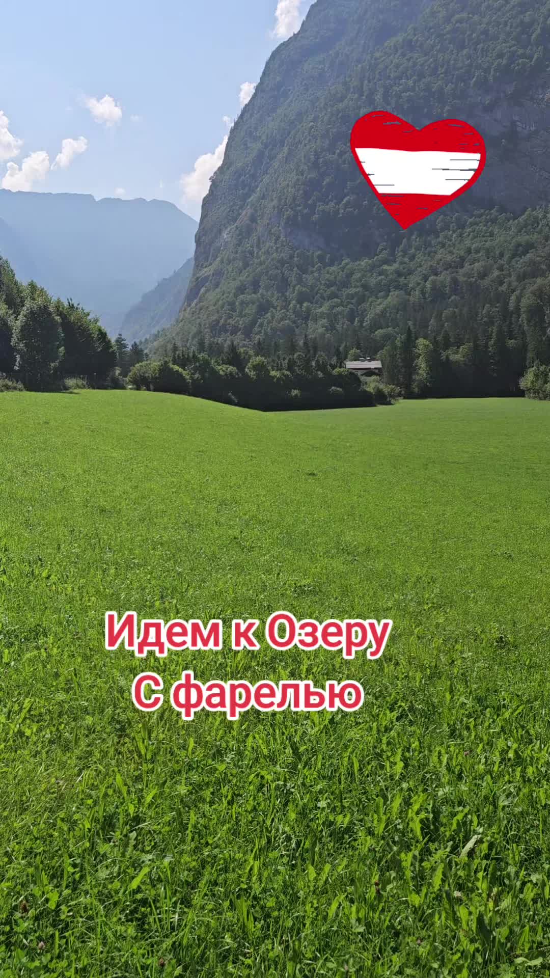 @Danila Master
