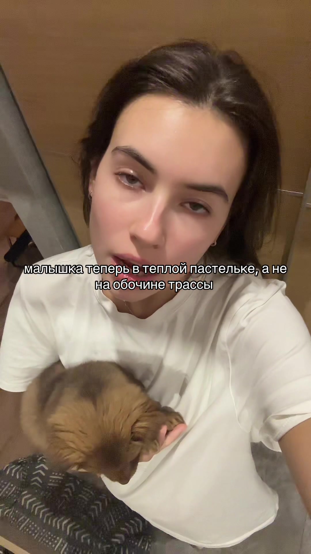 @тгк: соникдэш