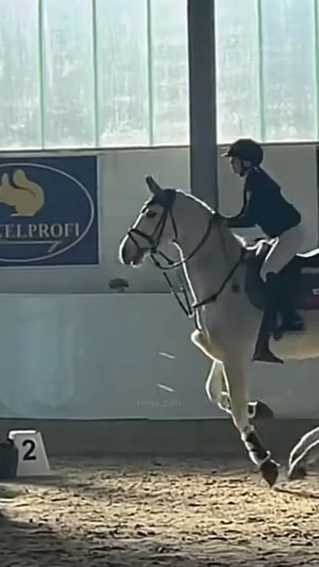 @horse_edits