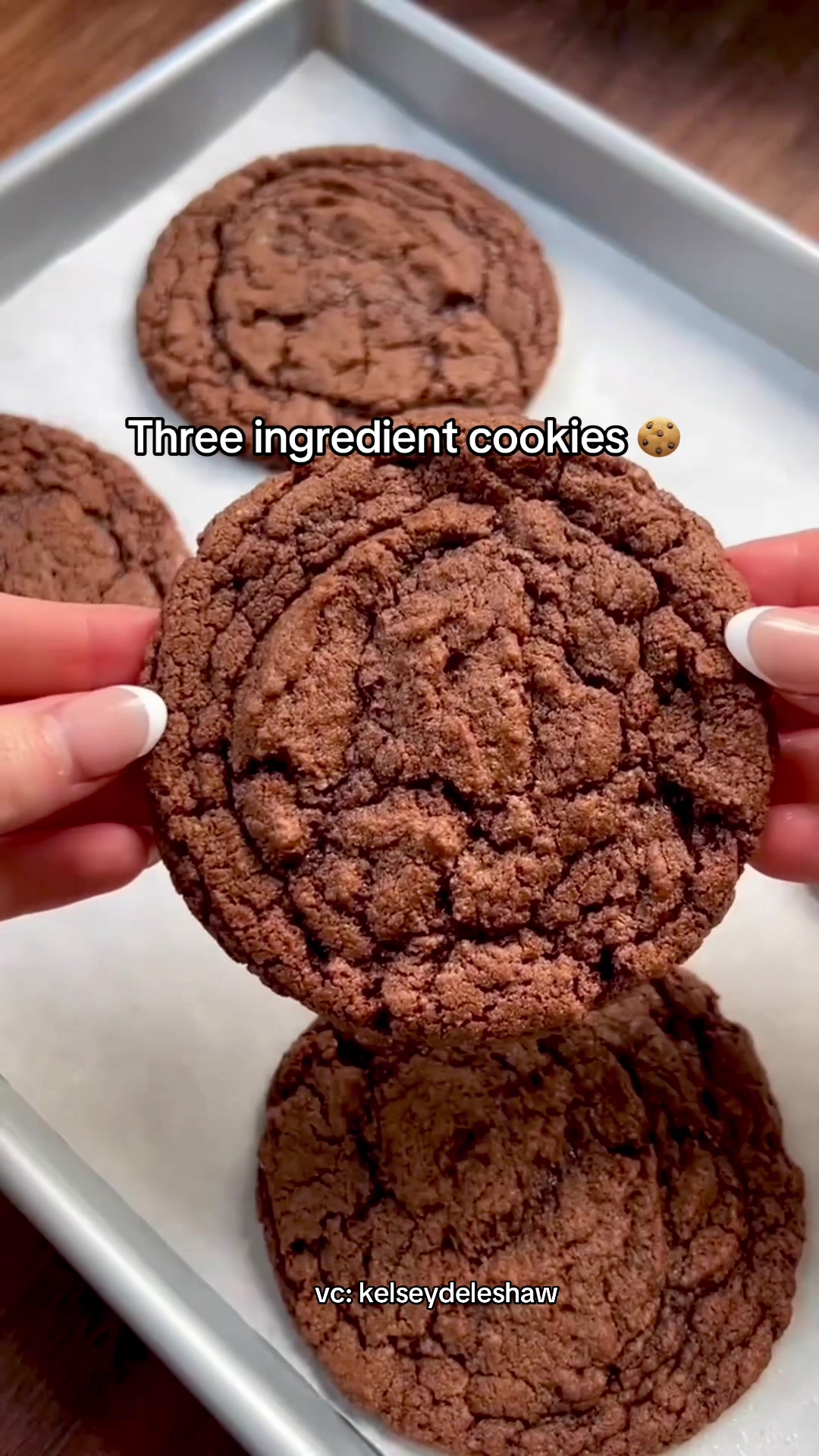 @The TikTok Cook Book