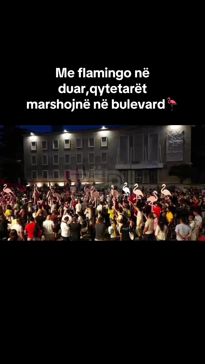 @ZËRI