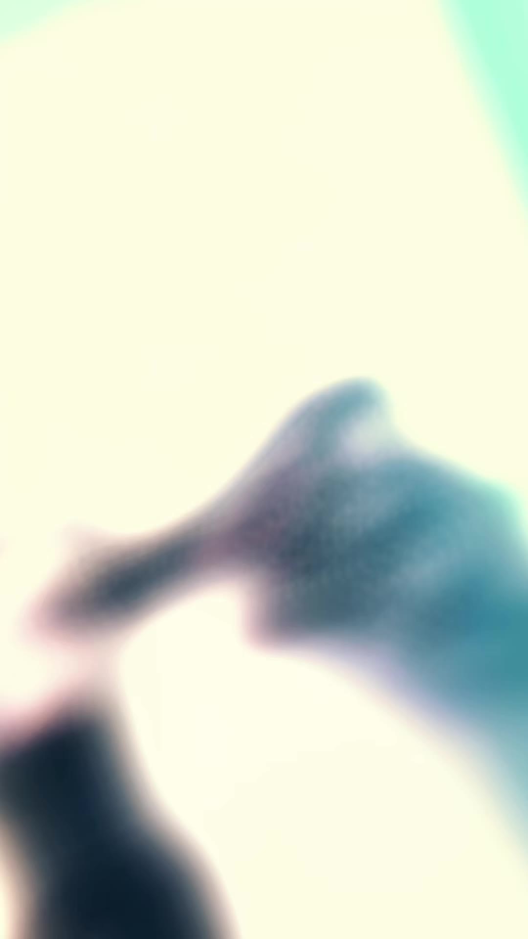 @ਕਿਰਨ ✨