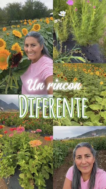 @Hablemos de ti Utah