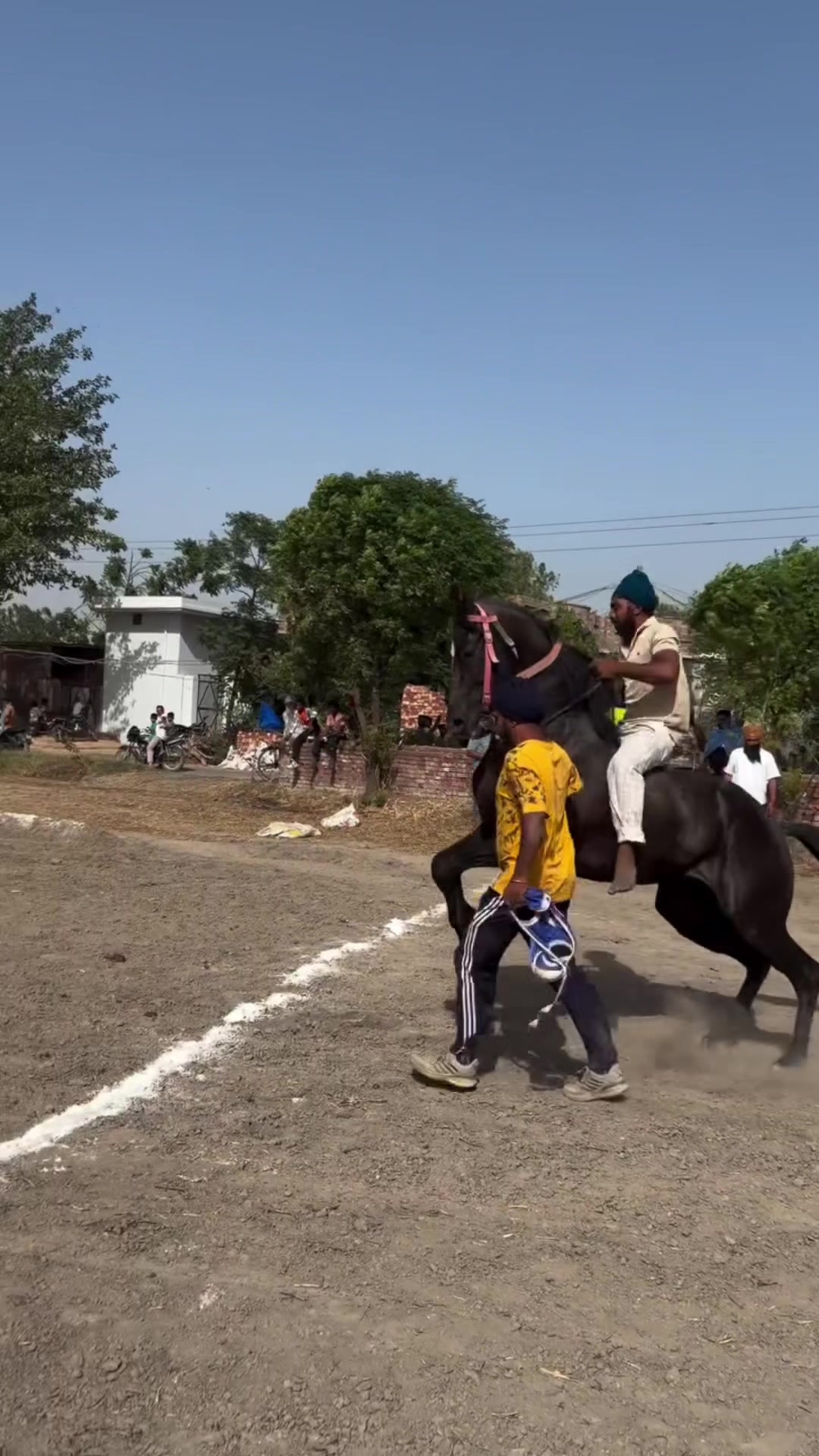 @🏇 MARWARI HORSE RACING 🏇