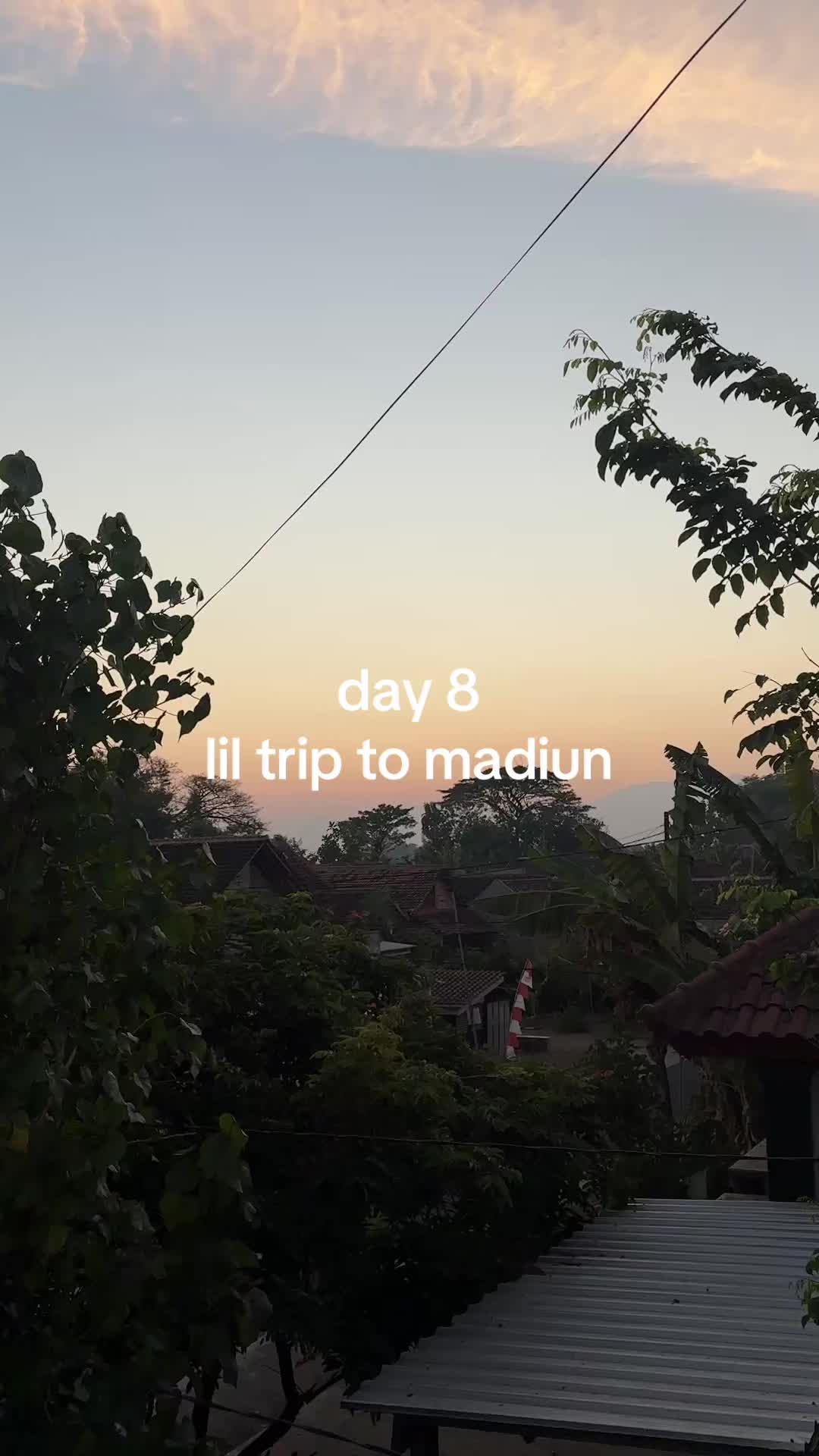 @laura !! ⭐️🩷🦢