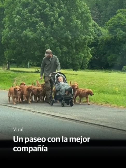 @El Diario Vasco