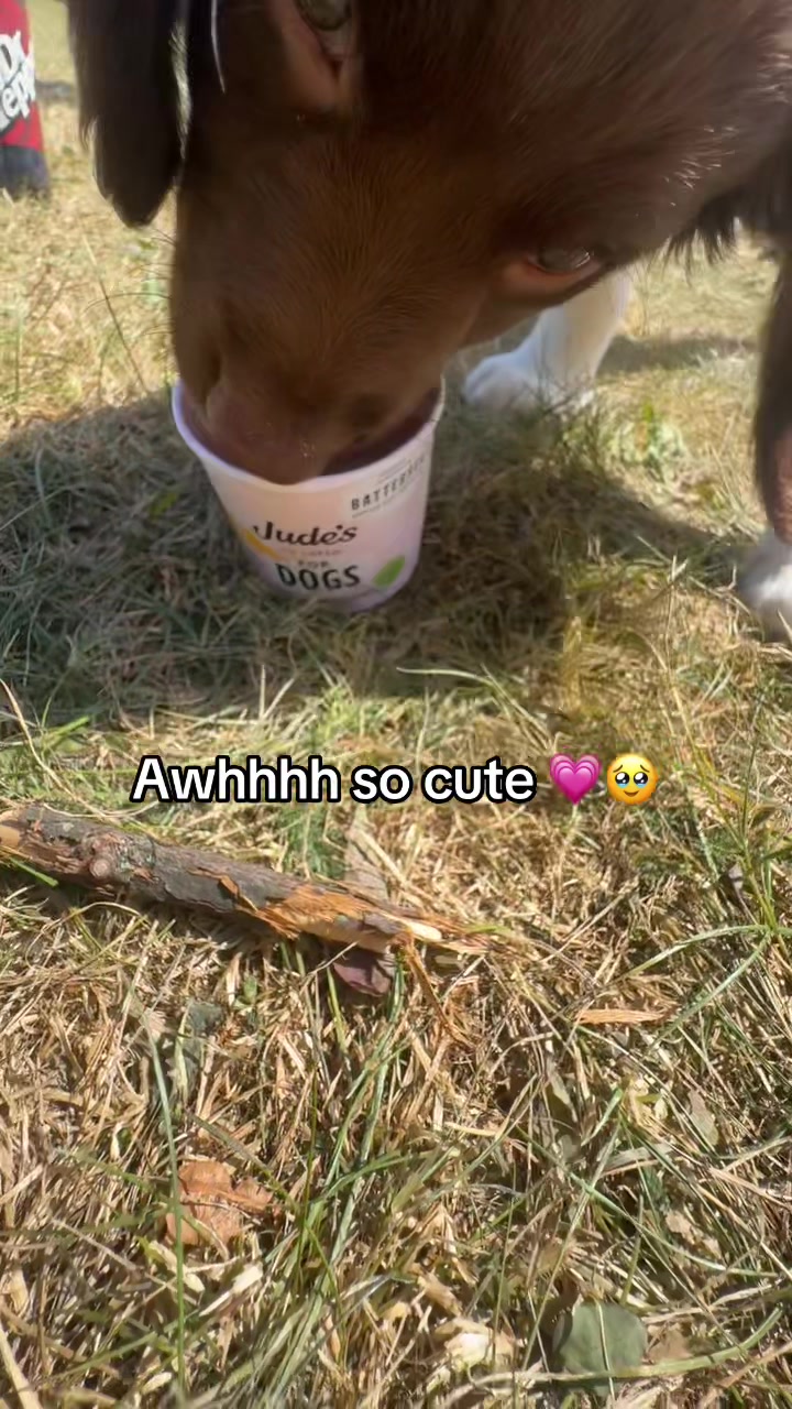 @Poppy ๐๐บ