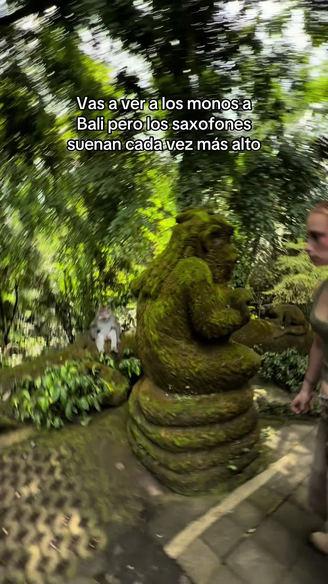@Susana Vellón