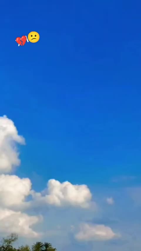 @سیدحیل🥷1