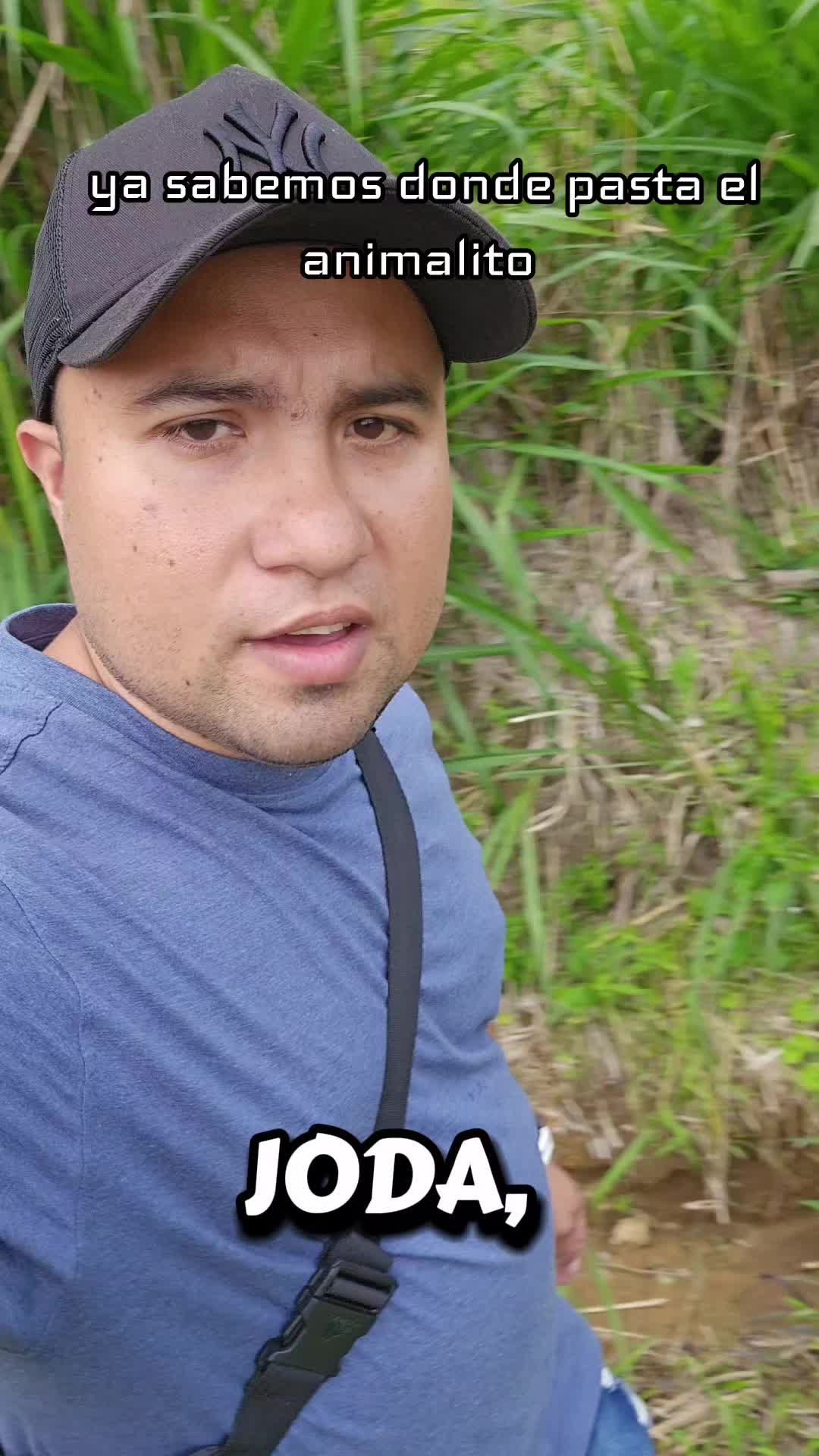 @Jhon Snayder, Teacher De Flow