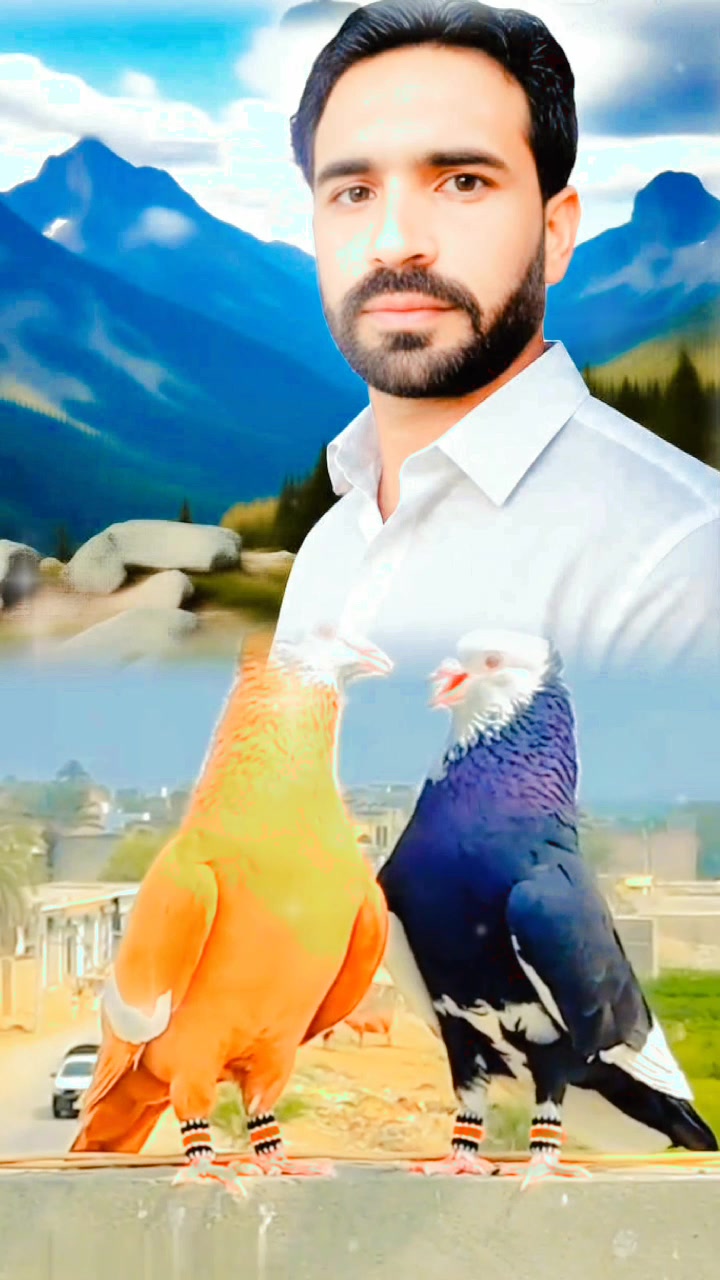 @QalabAbbas