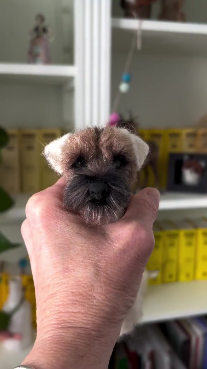 @FlyByFeltstiktok