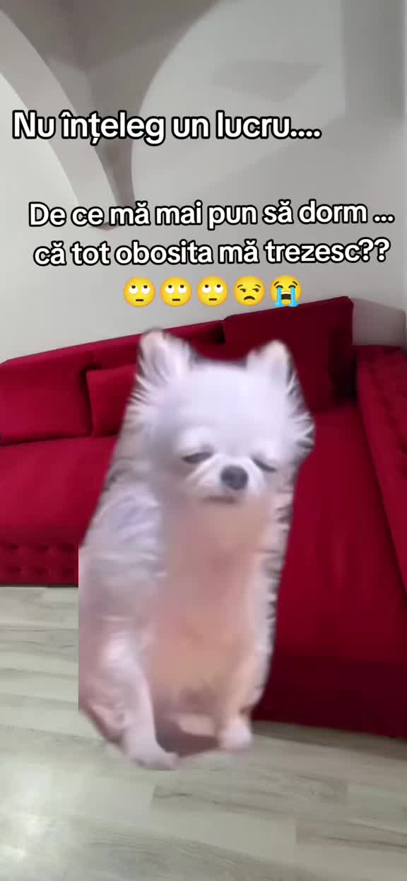 @❤️Teo❤️