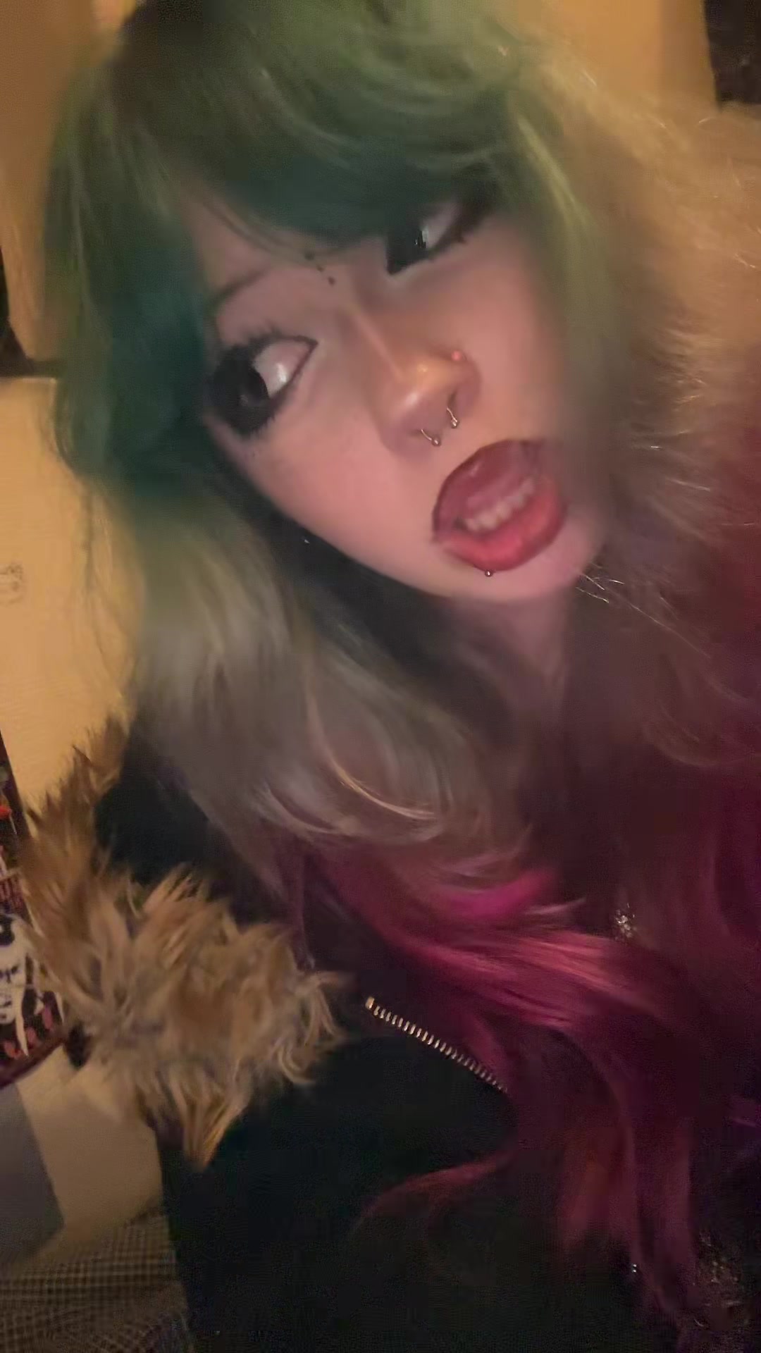 @Kajsa 🦇