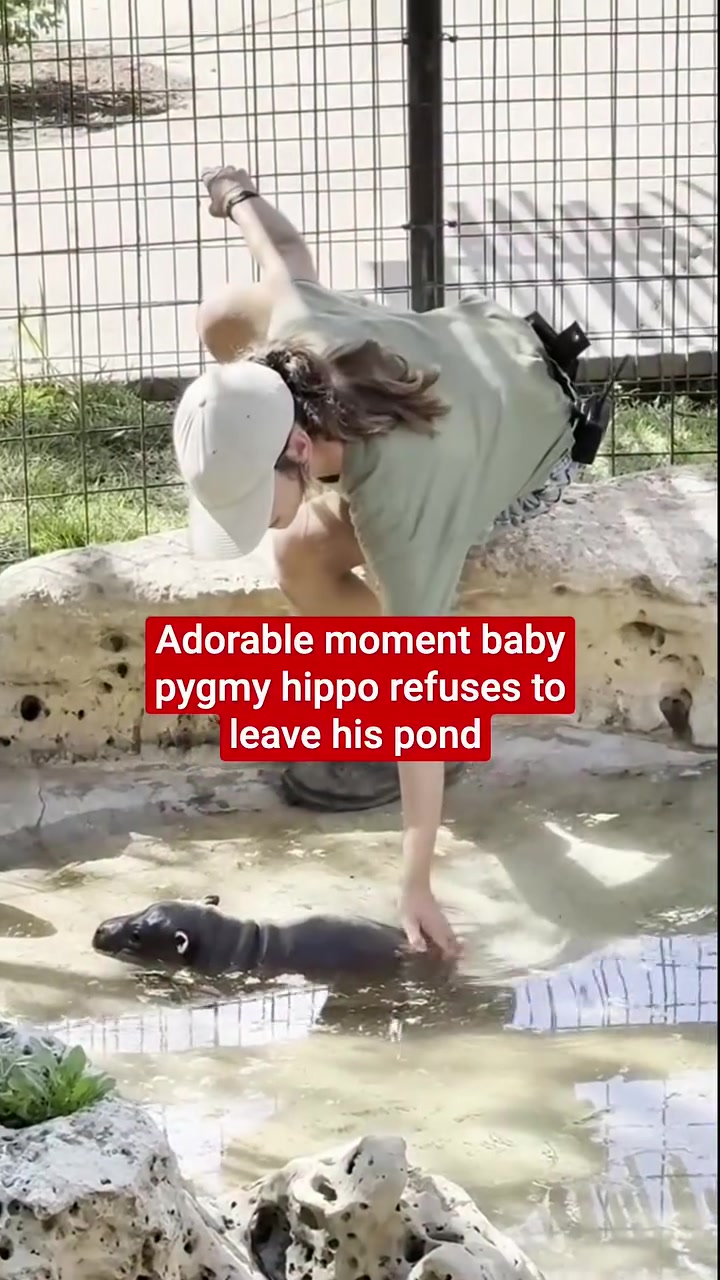@Independent