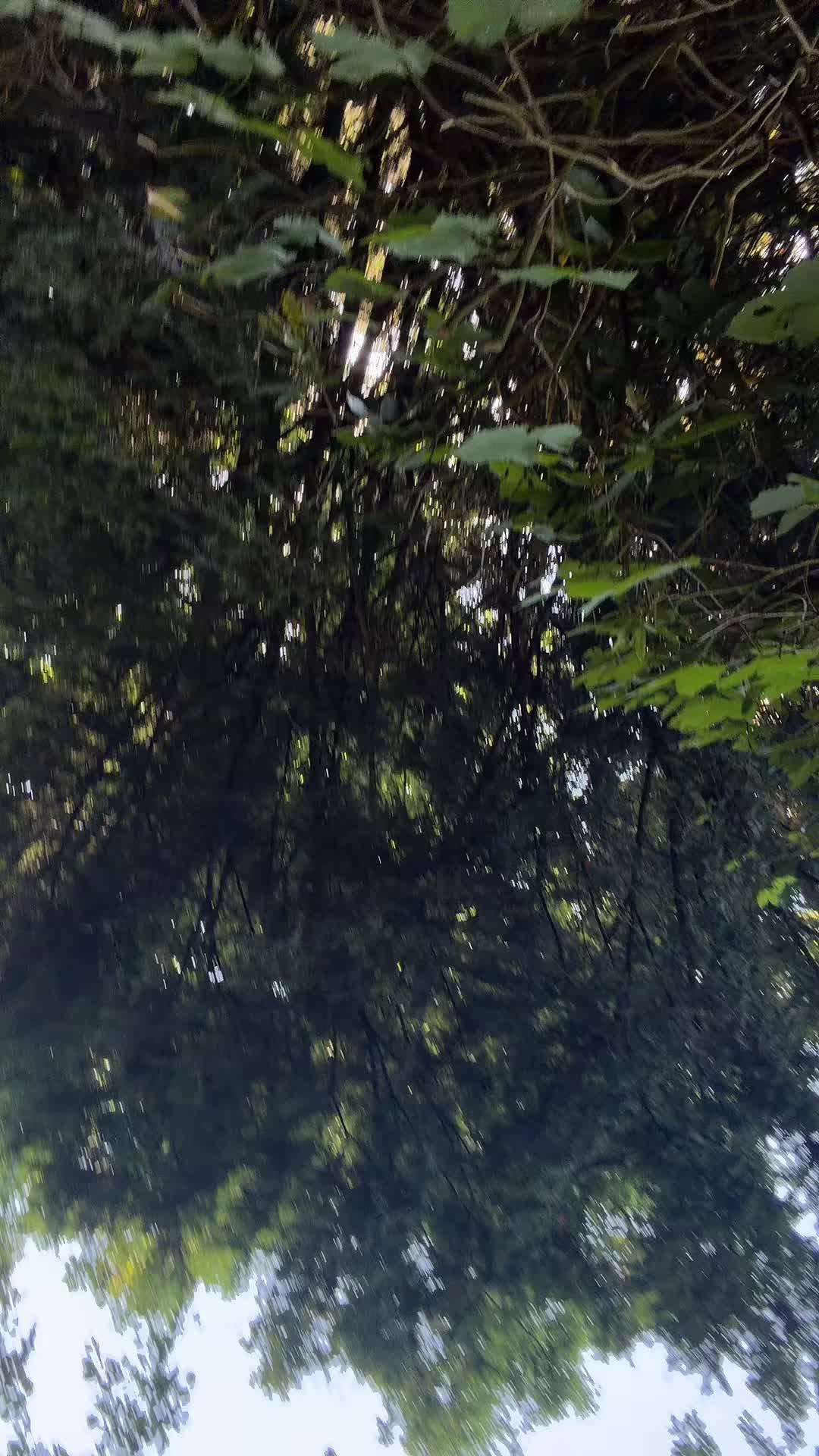 @anna.bannana832