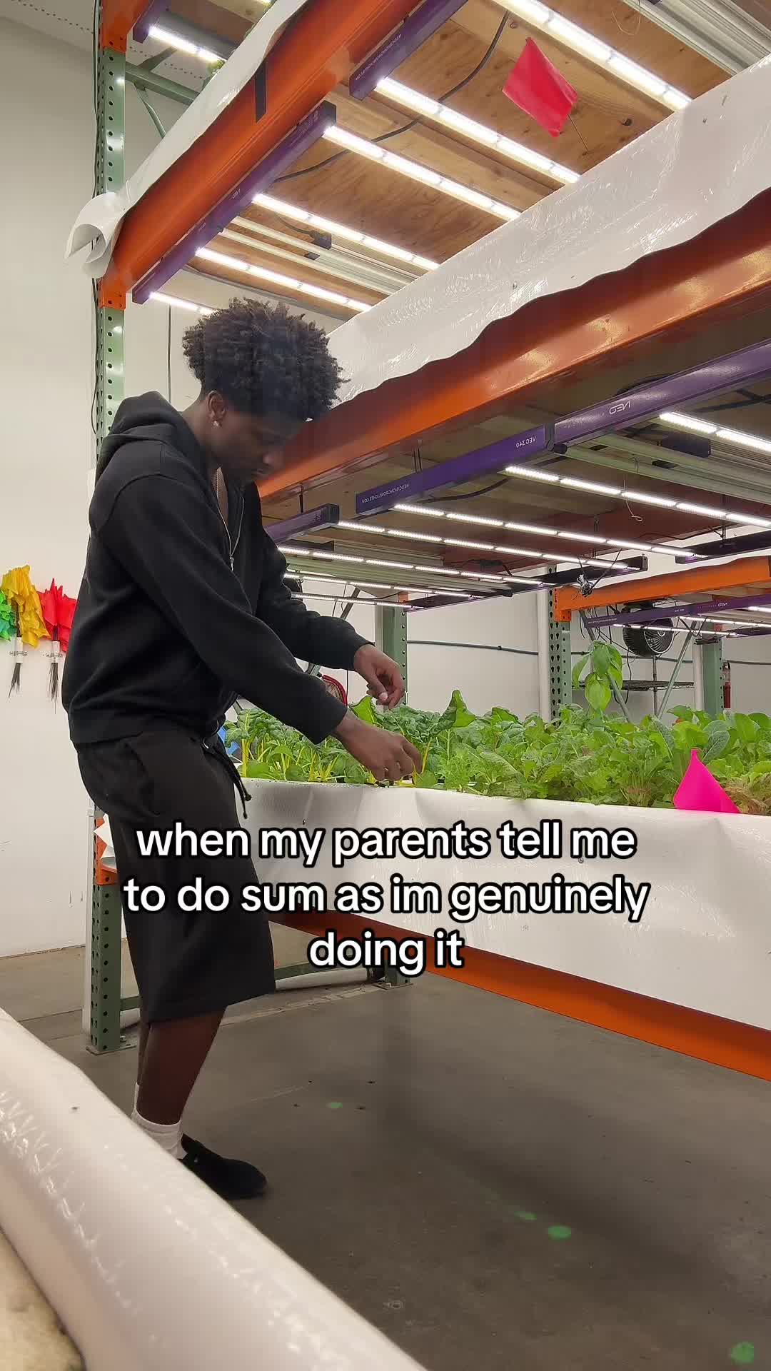 @noah