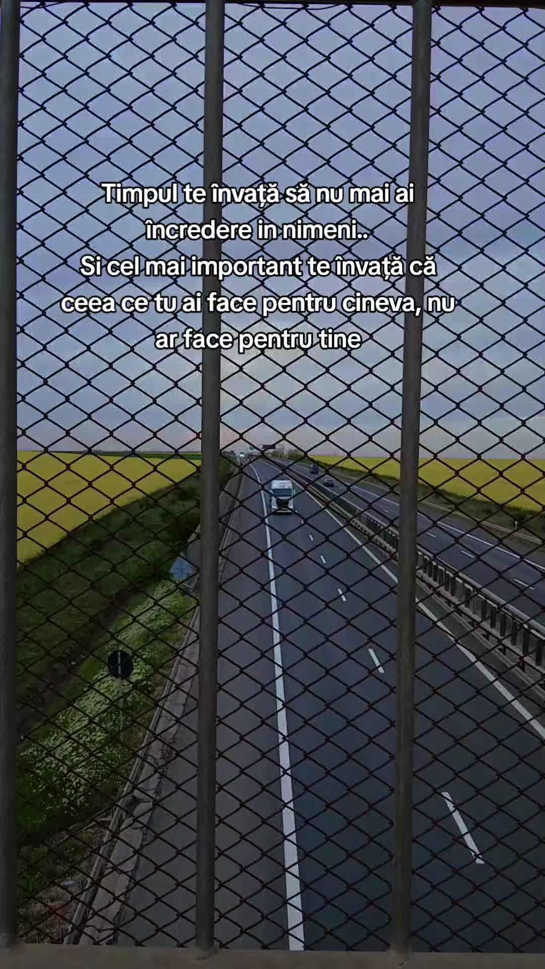 @⚜️Ąĺịɲ⚜️