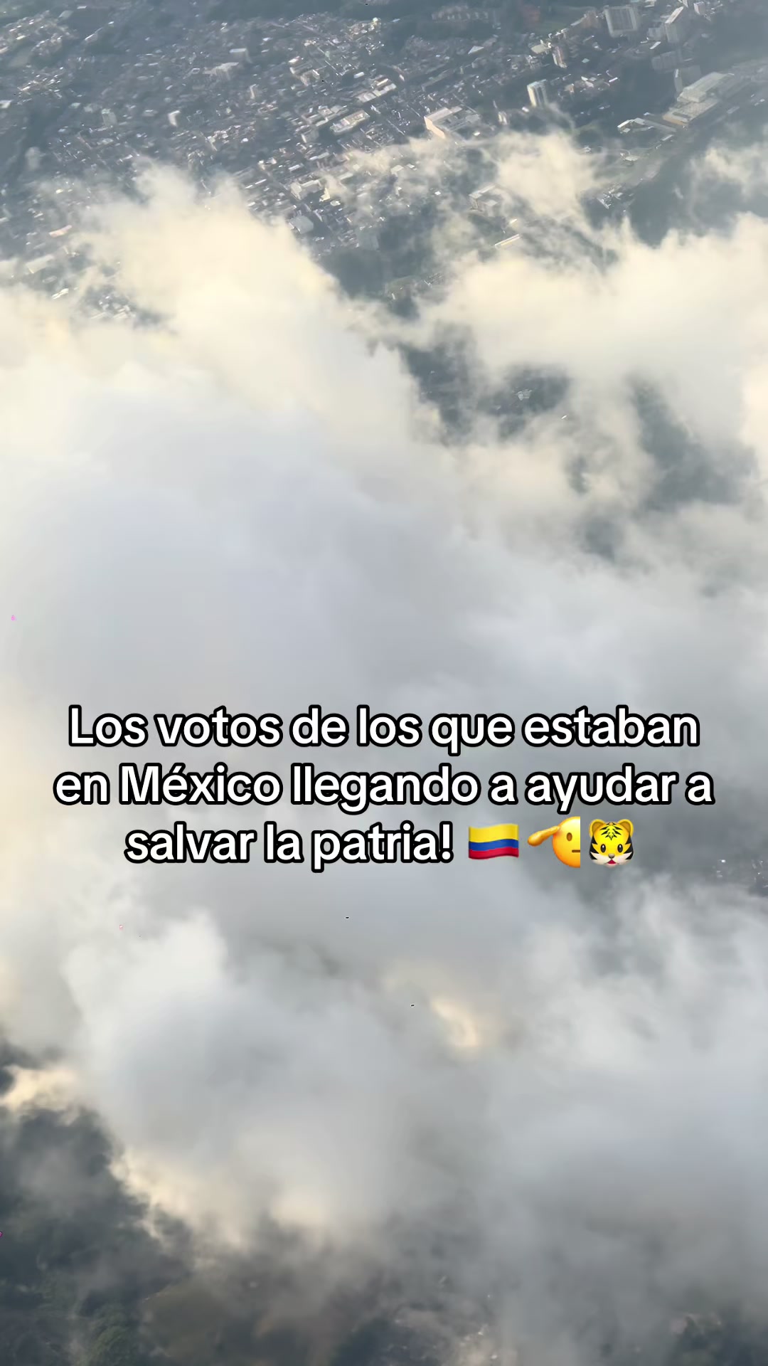 @Camilo Perilla