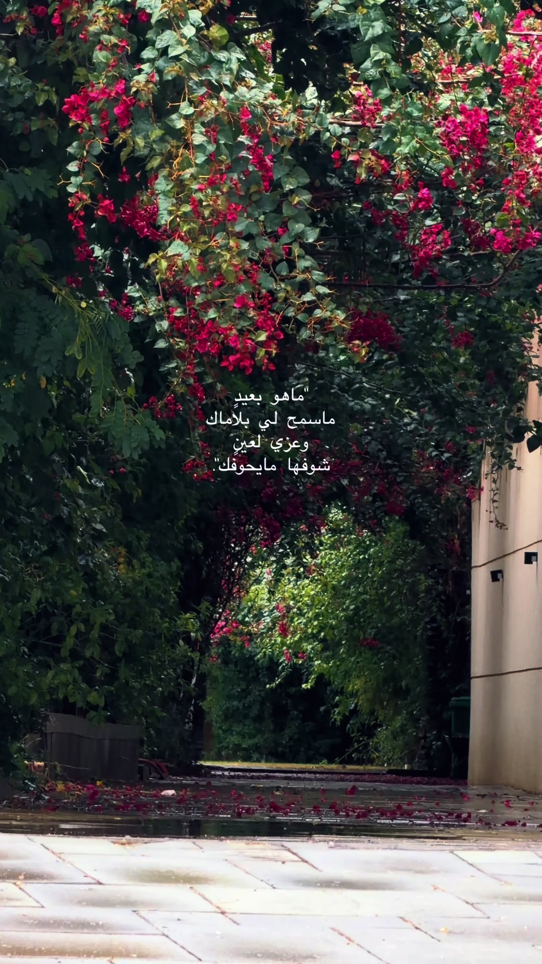 @ٰ