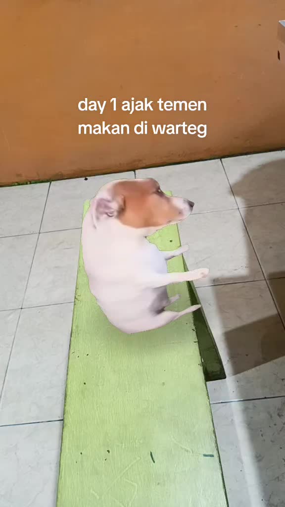 @vennnnnnn