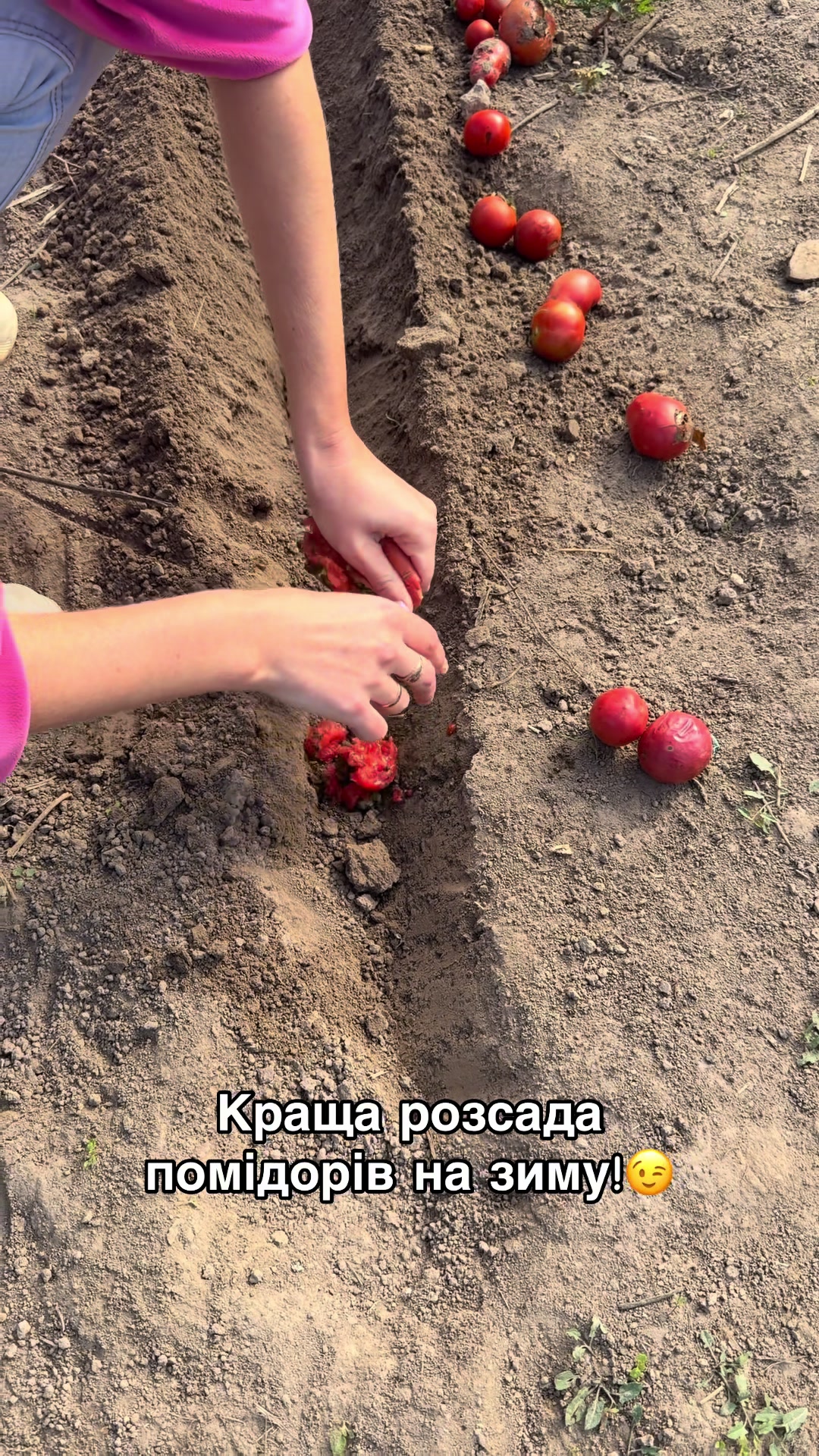 @Volynblog | Луцьк | Ковель