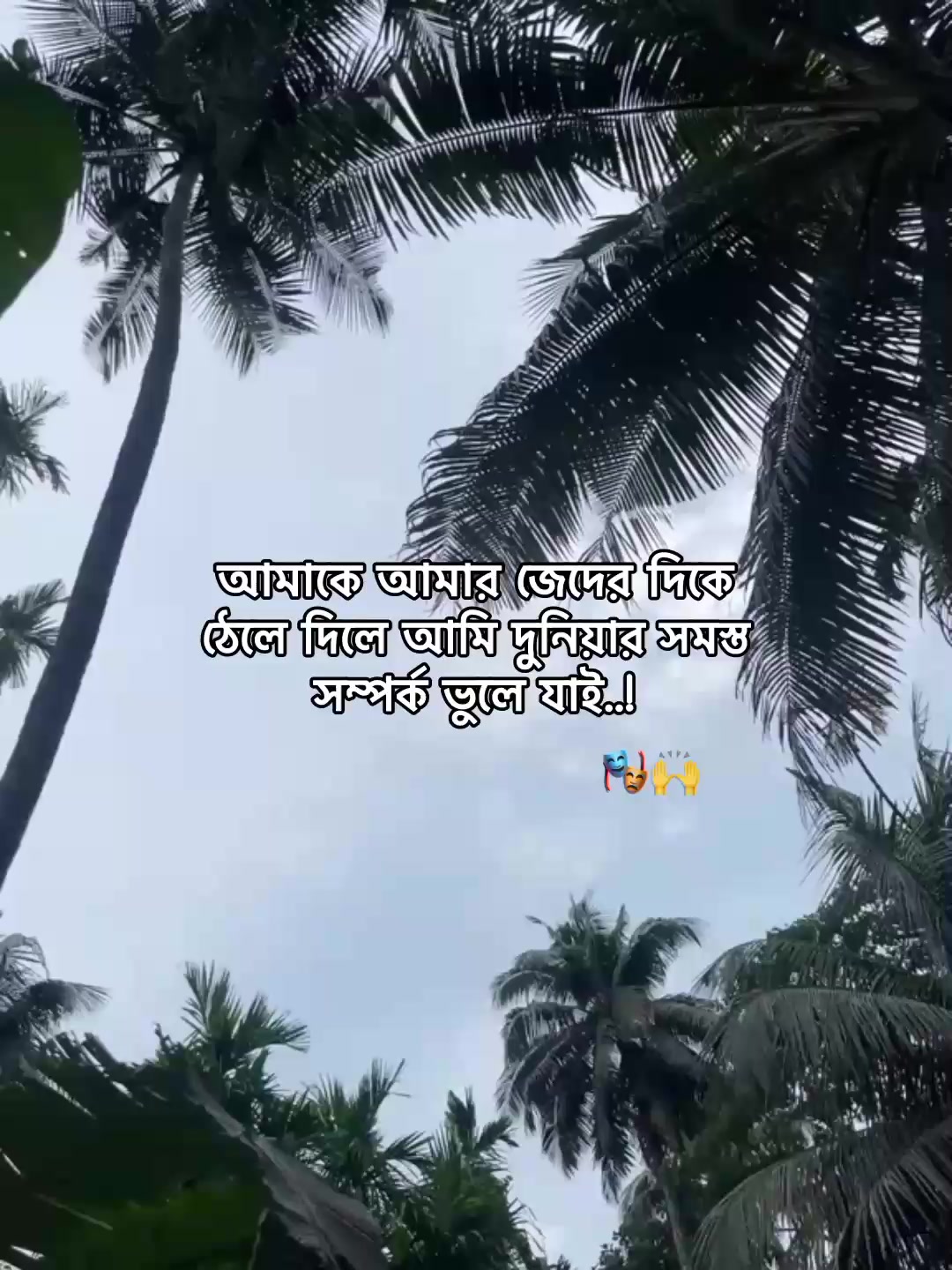 @⁷𝐇𝐚𝐦𝐢𝐝𝐚◡🧃