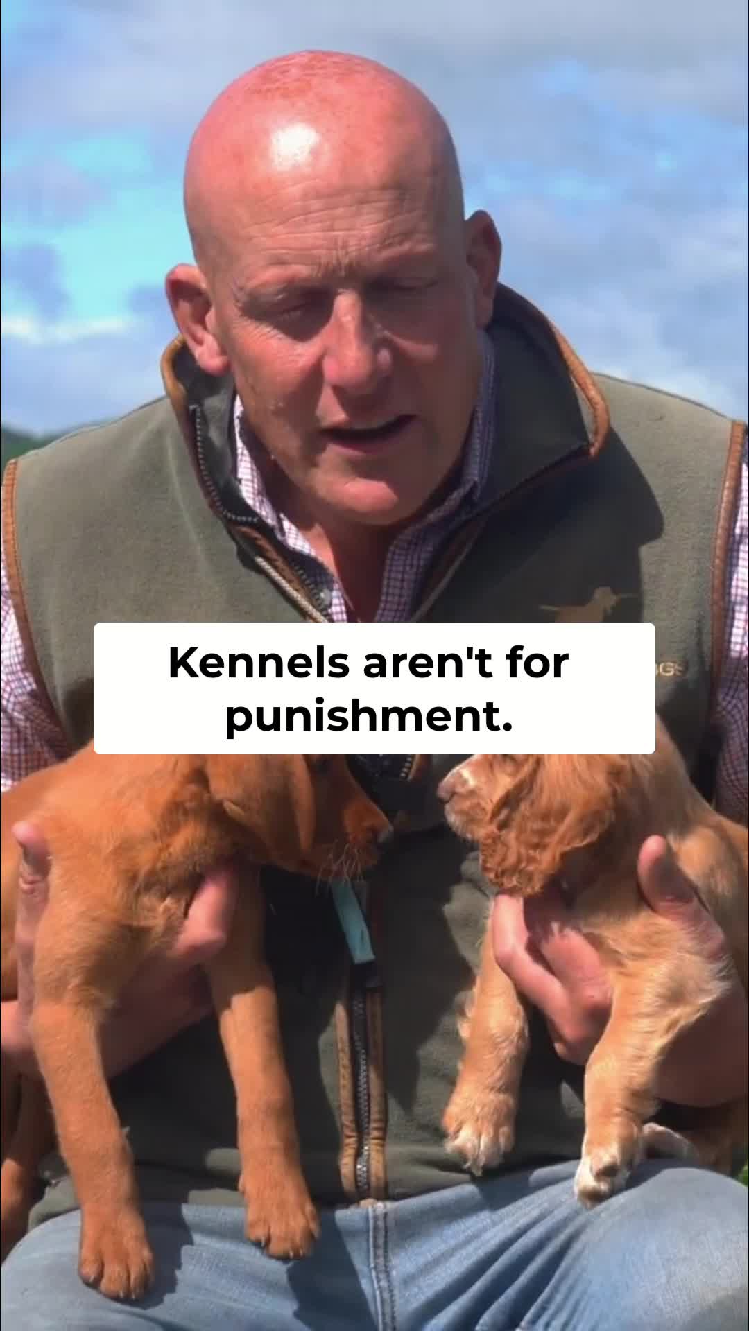 @Mordor Gundogs