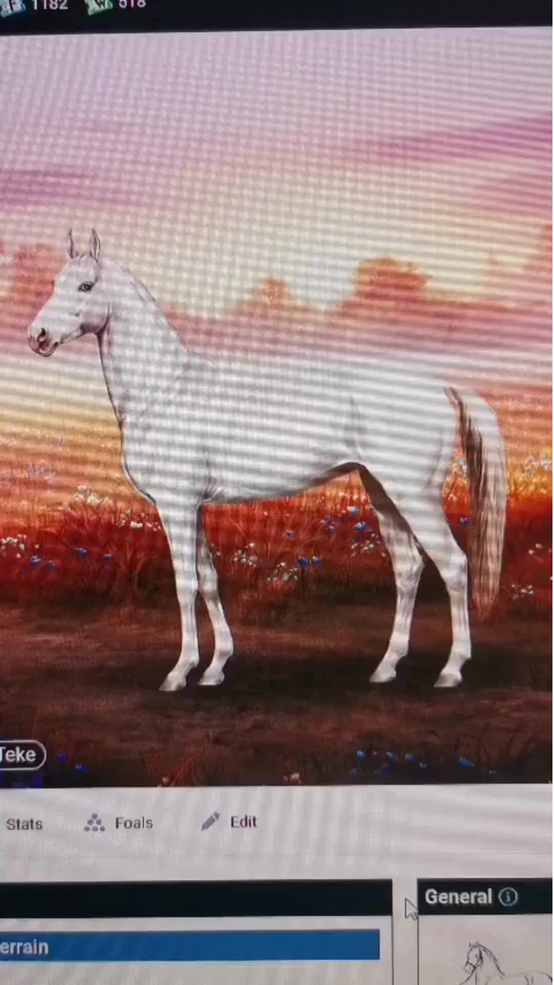 @Horse Reality