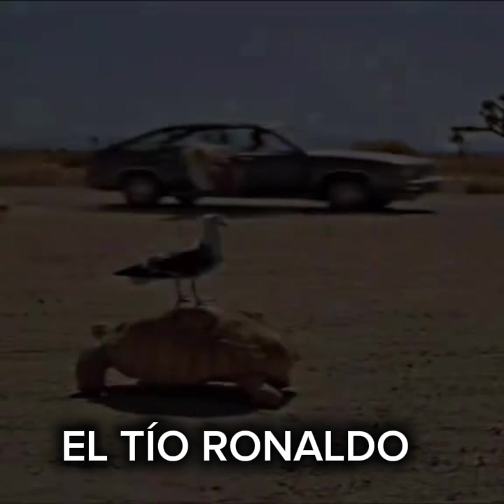 @EL TÍO RONALDO