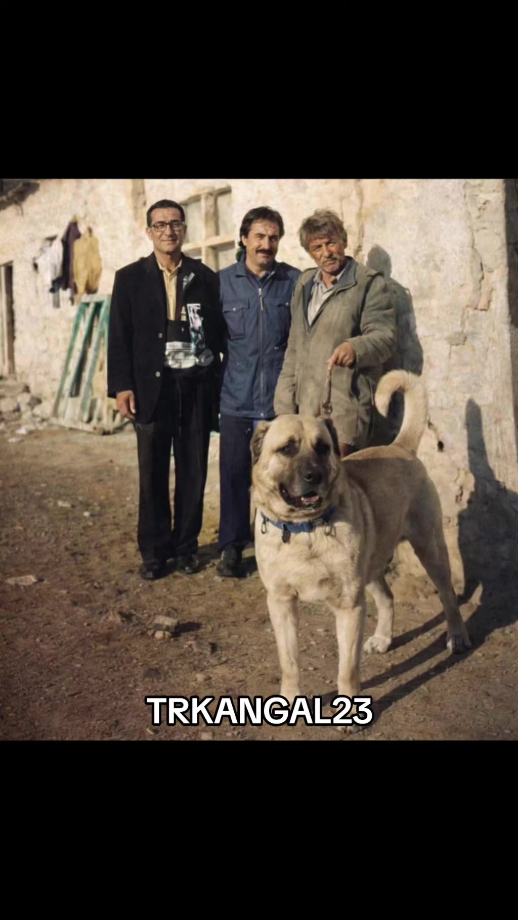 @🏆 TRKANGAL23 🏆