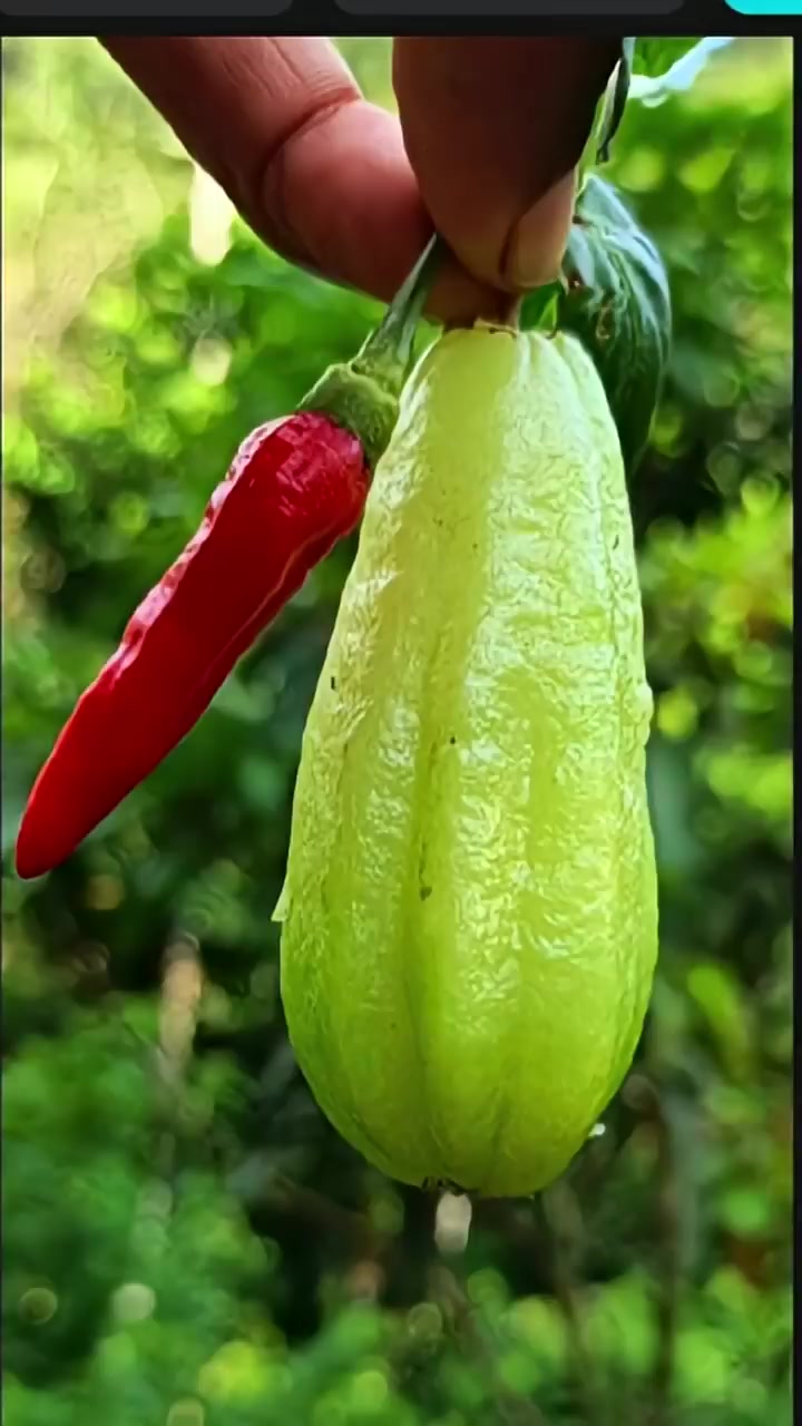 @Natural Living Ideas