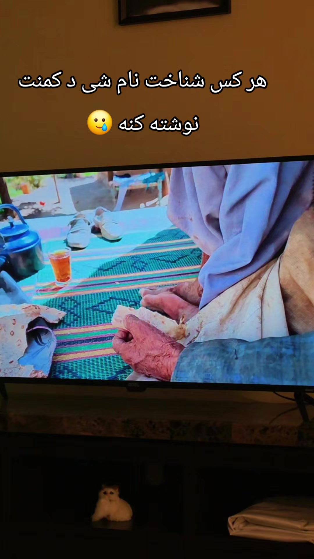 @Tamanjoo🇨🇦🇮🇩🇦🇫
