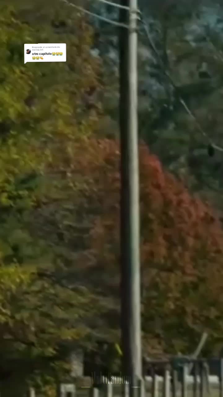 @_Multifandom_