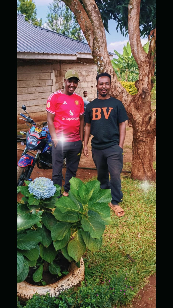 @Elly Electrical and Appliances
