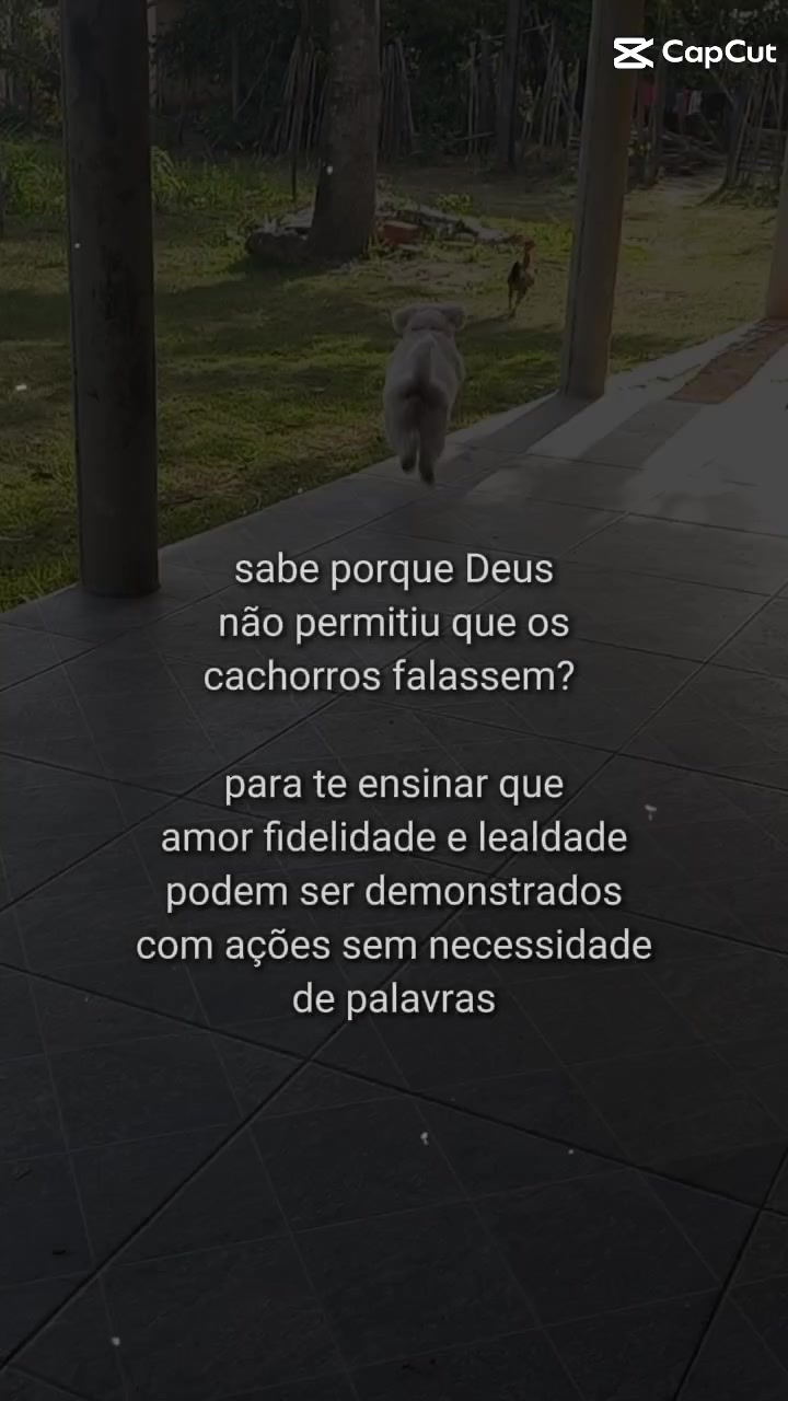 @SIMONE MENDES