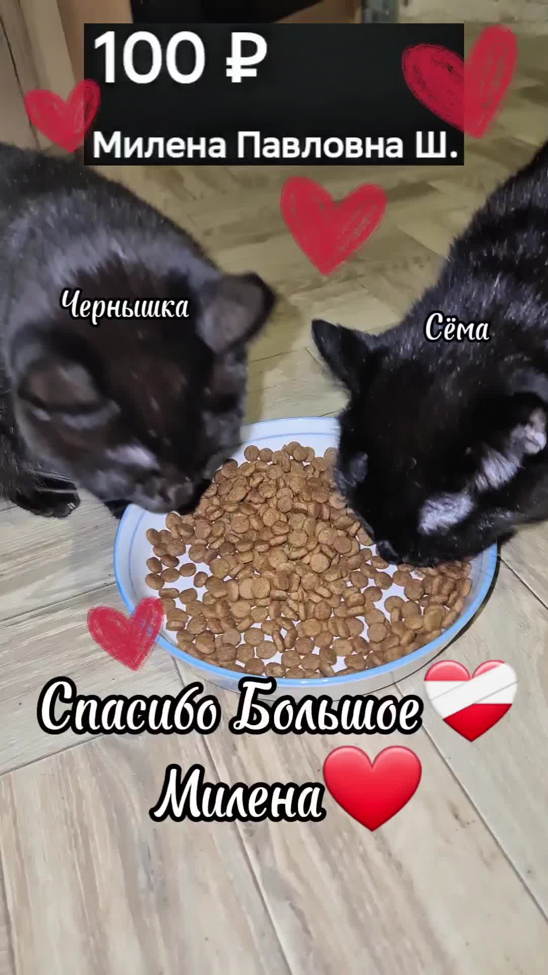 @Кошкин Дом