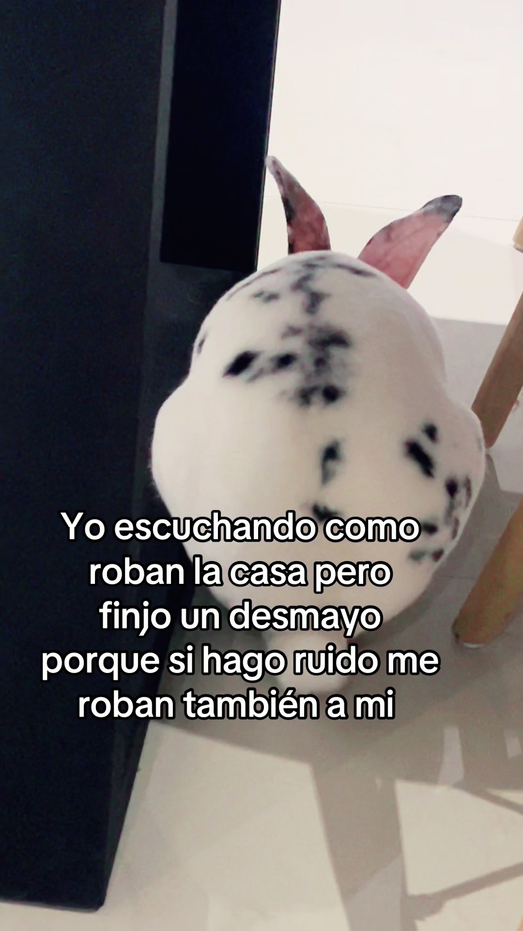 @Soy Luna