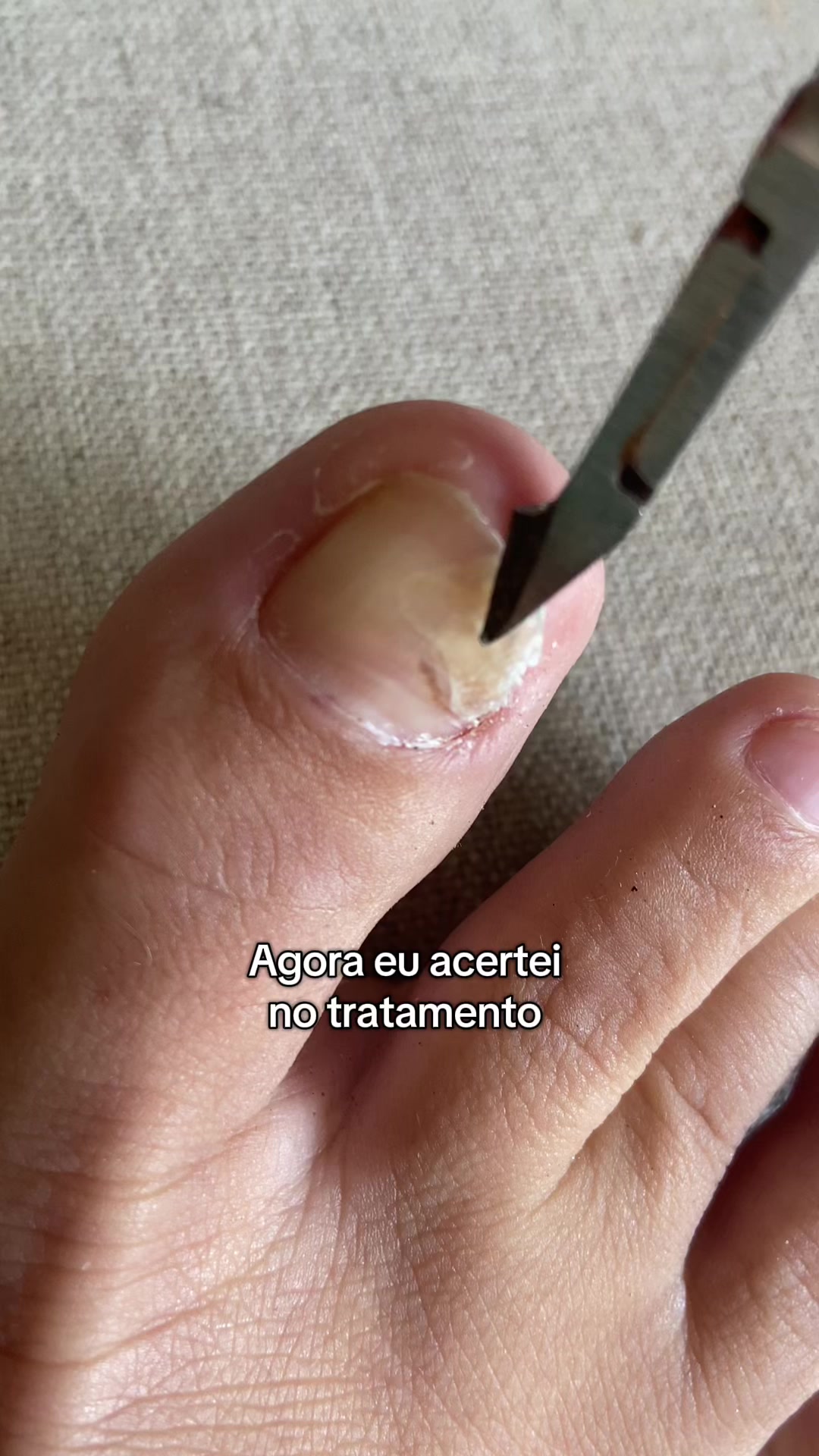 @Carolinaindica