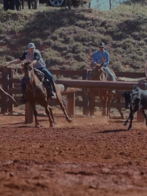 @Team Roping Brasil