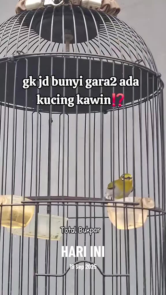 @totalbukpar