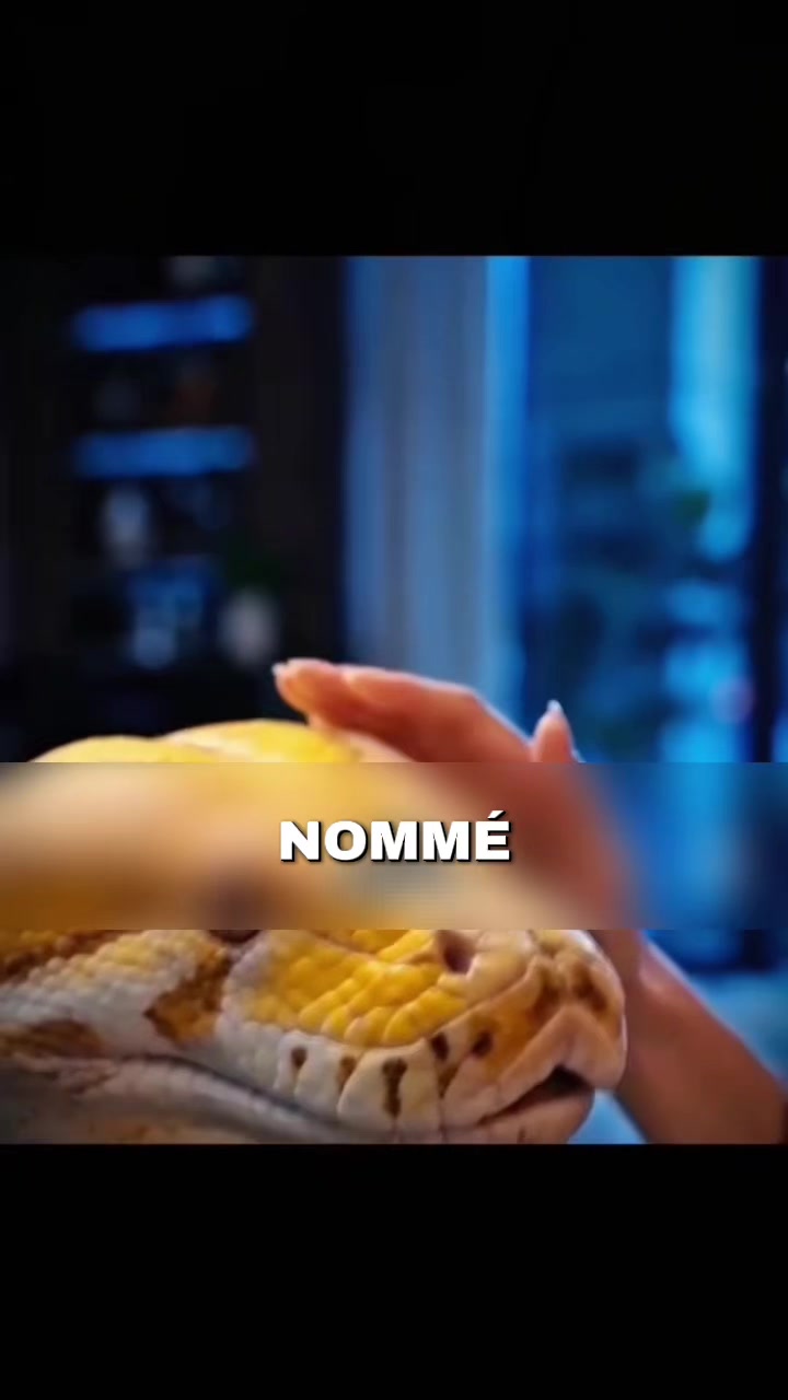@Cin&eacute;passion