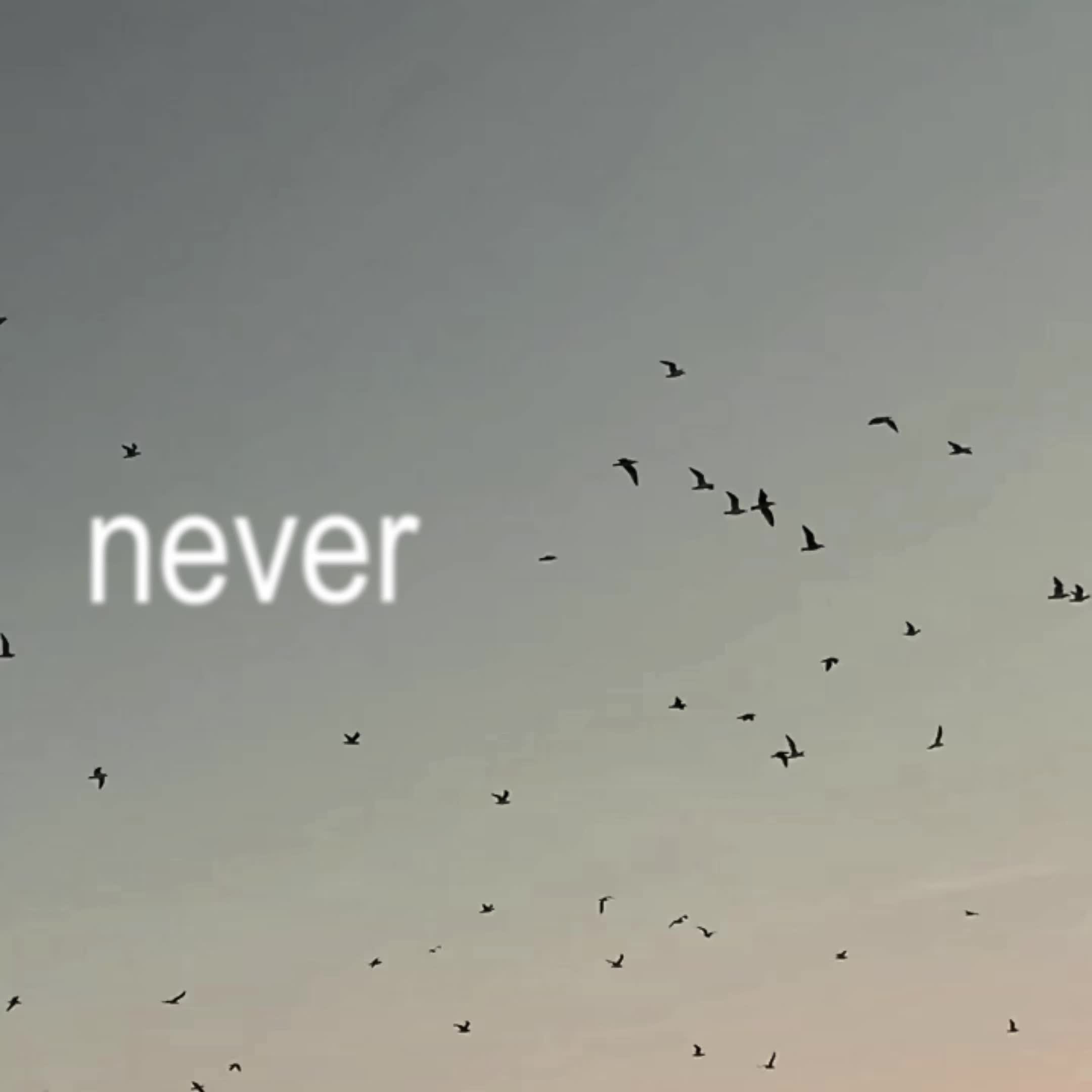 @forevernoahfan