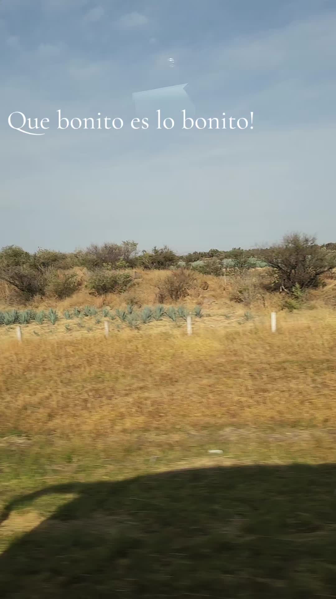 @Araceli Meza